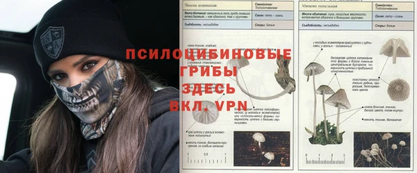 прущий лед Зеленодольск
